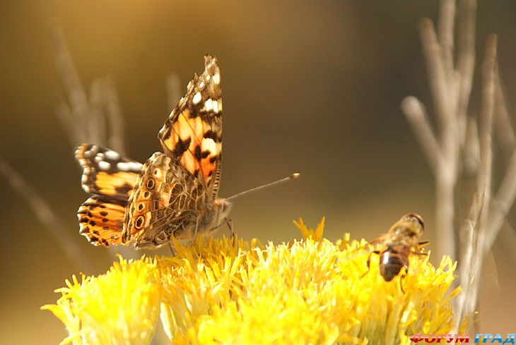 самостоятельные путешествия