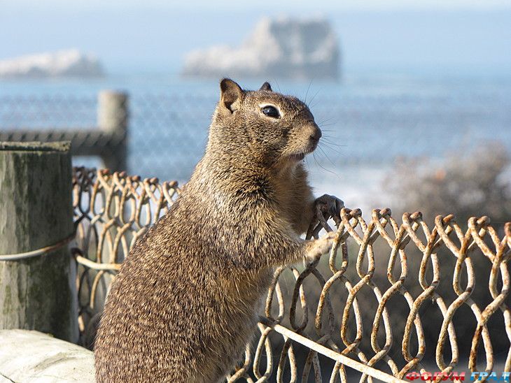 самостоятельные путешествия