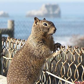 самостоятельные путешествия