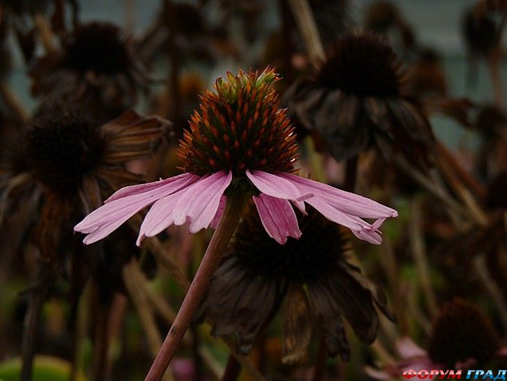 самостоятельные путешествия