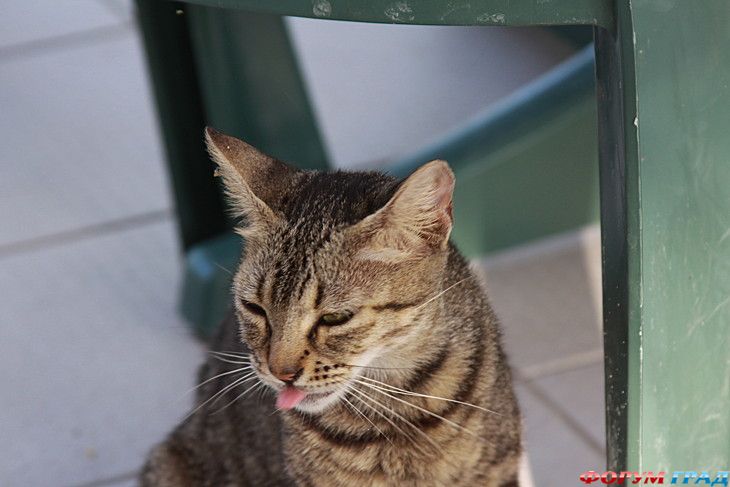 самостоятельные путешествия