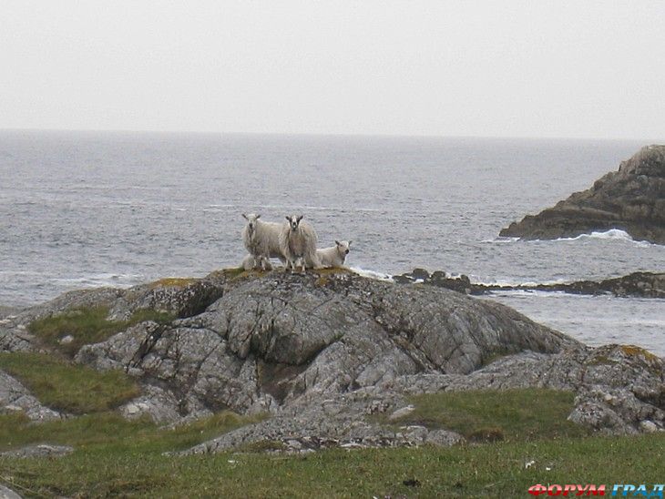 самостоятельные путешествия