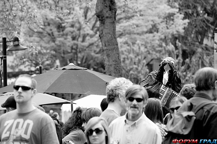 самостоятельные путешествия