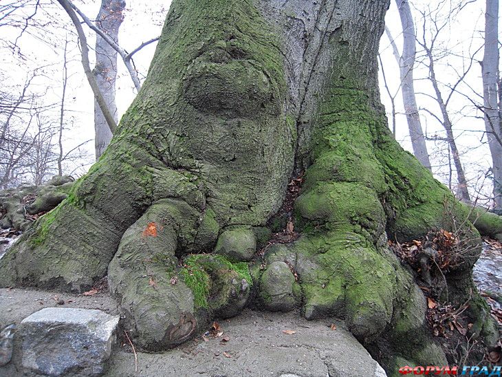 самостоятельные путешествия