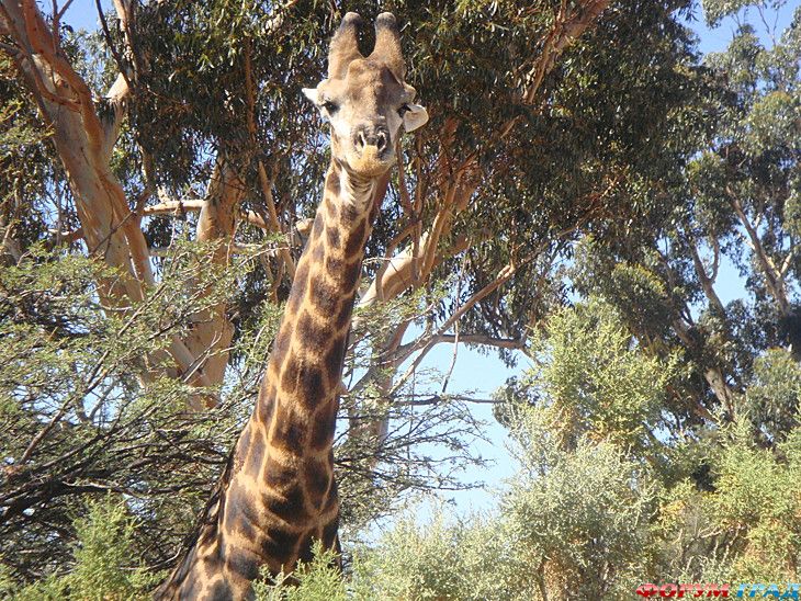 самостоятельные путешествия