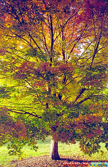 самостоятельные путешествия