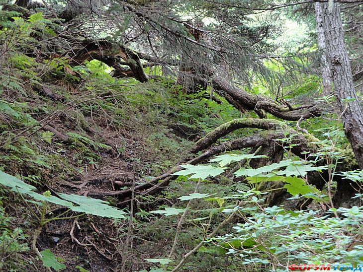 самостоятельные путешествия