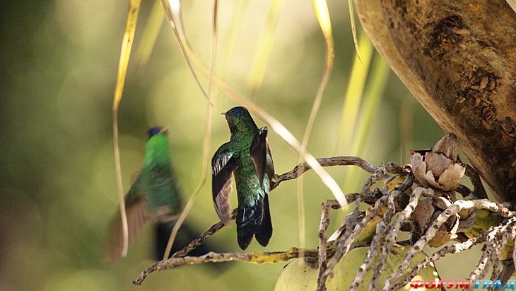 самостоятельные путешествия