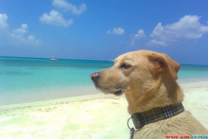 самостоятельные путешествия