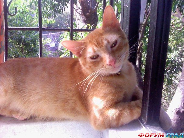 самостоятельные путешествия