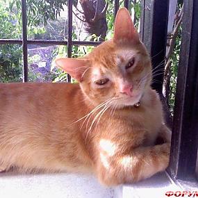 самостоятельные путешествия