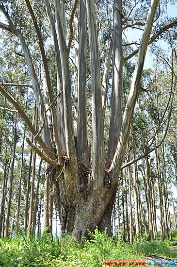 самостоятельные путешествия