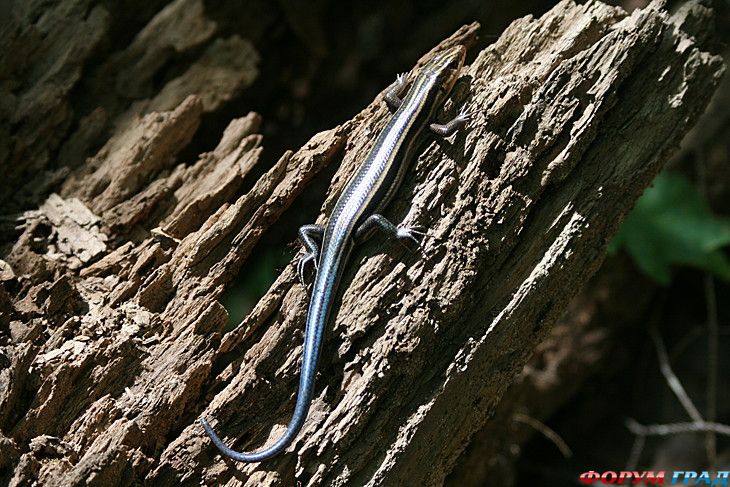 самостоятельные путешествия