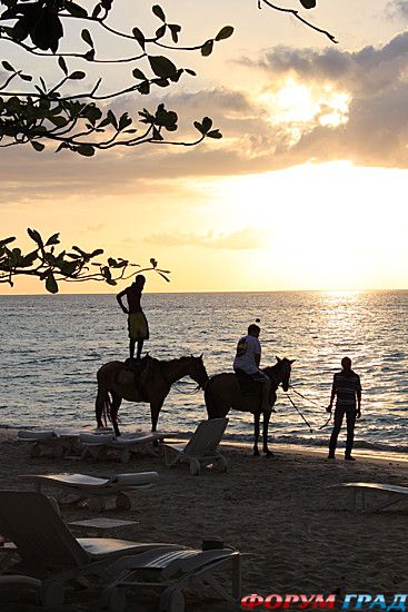 самостоятельные путешествия