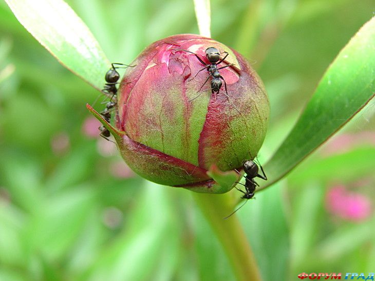 самостоятельные путешествия