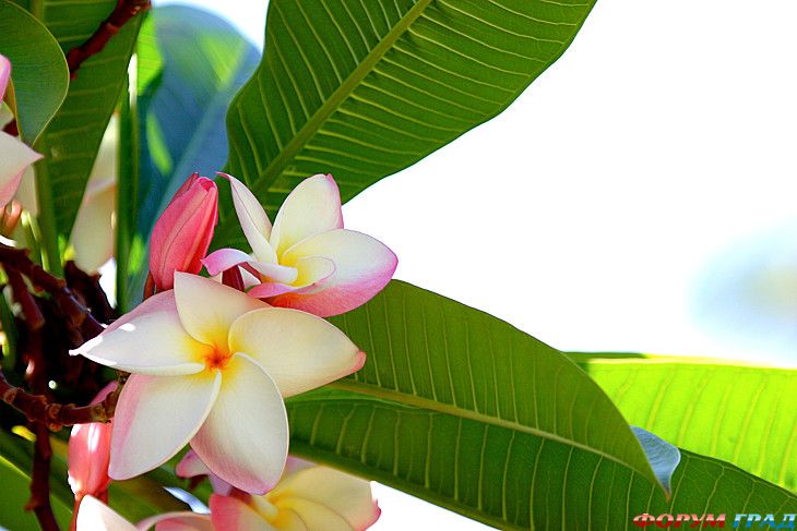 самостоятельные путешествия