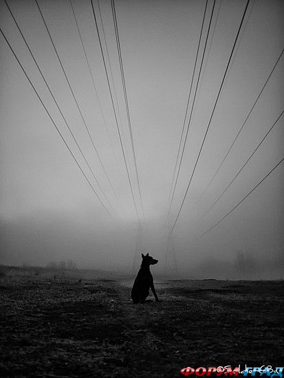 самостоятельные путешествия