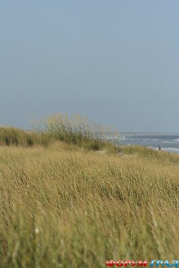 самостоятельные путешествия