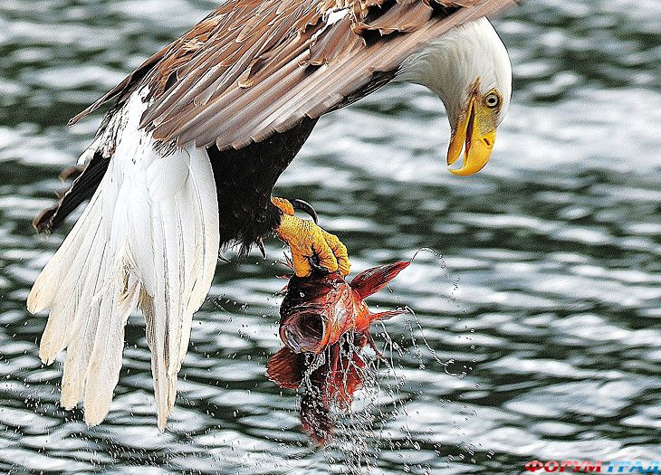 самостоятельные путешествия
