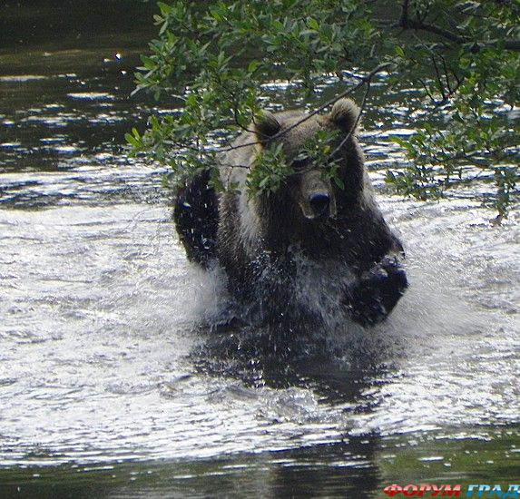 самостоятельные путешествия