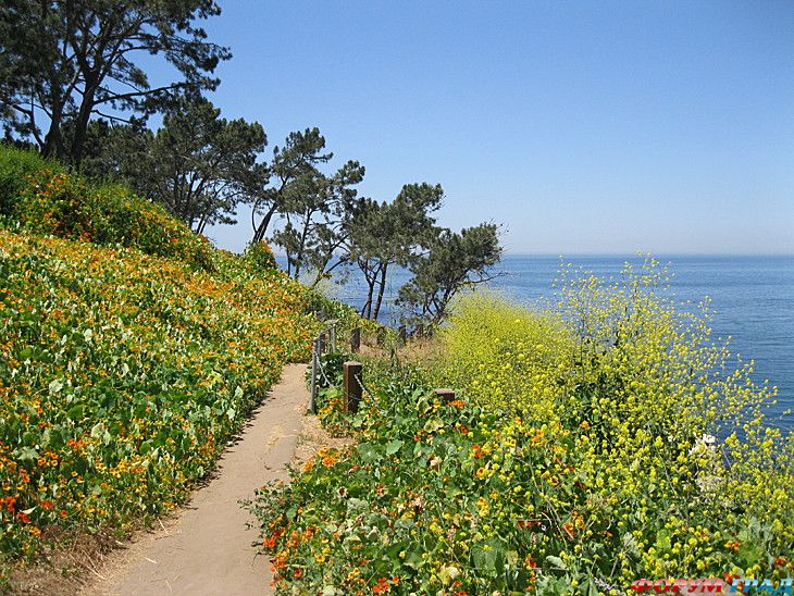 самостоятельные путешествия