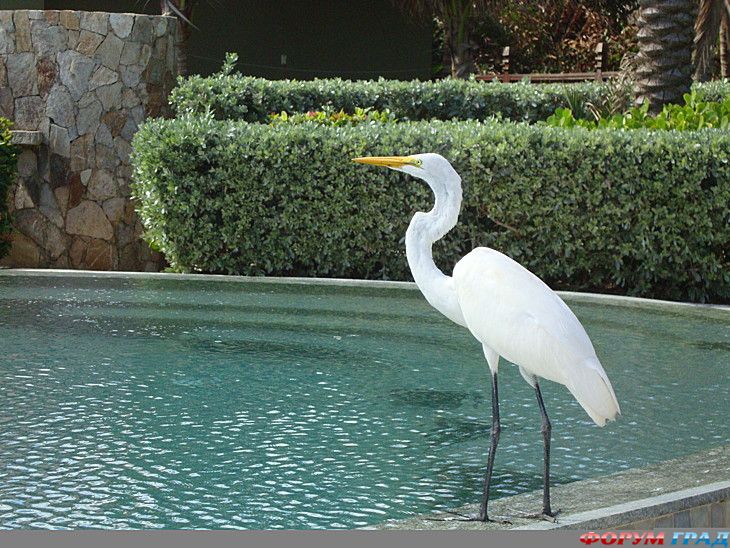 самостоятельные путешествия