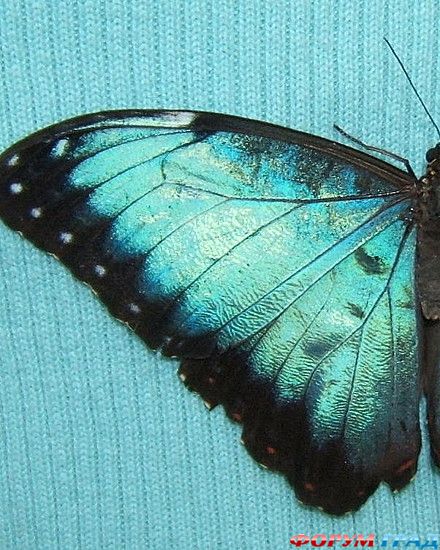 самостоятельные путешествия