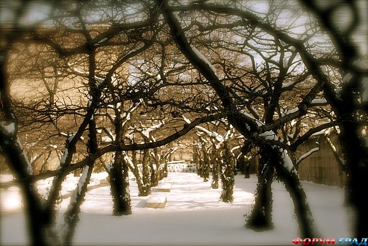 самостоятельные путешествия