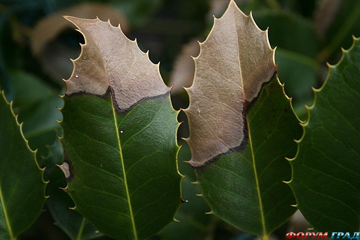 самостоятельные путешествия