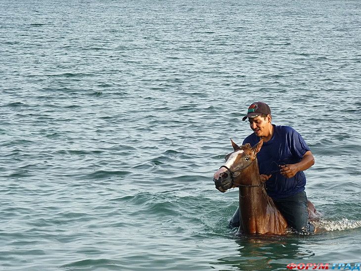 самостоятельные путешествия