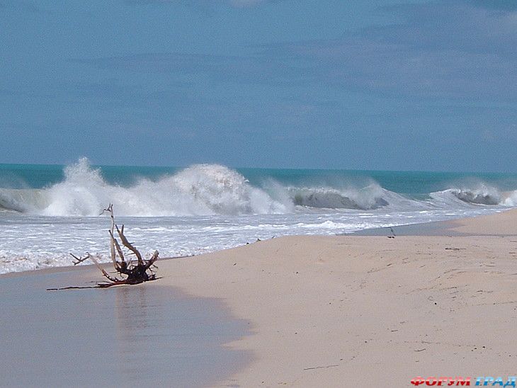 самостоятельные путешествия