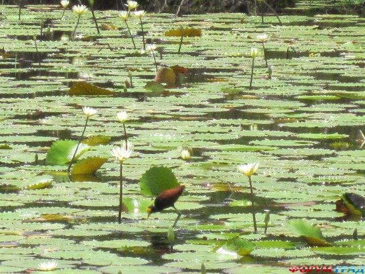 самостоятельные путешествия