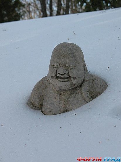 самостоятельные путешествия