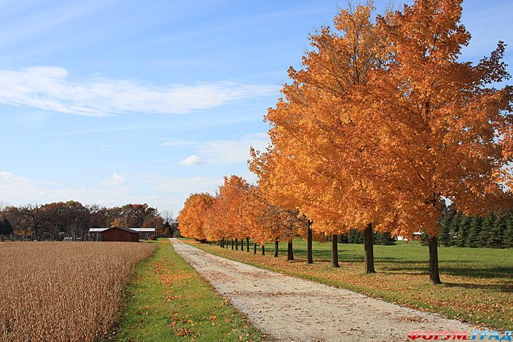 самостоятельные путешествия
