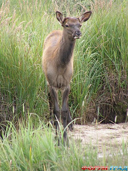 самостоятельные путешествия