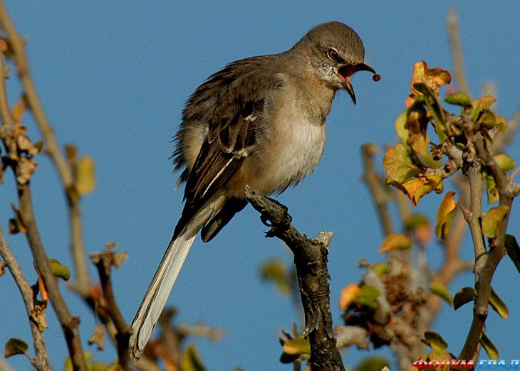 самостоятельные путешествия