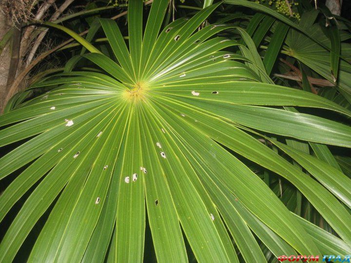 самостоятельные путешествия