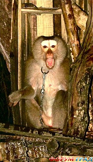 самостоятельные путешествия