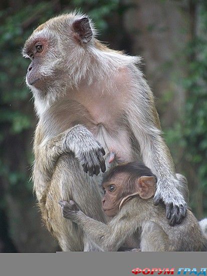 самостоятельные путешествия