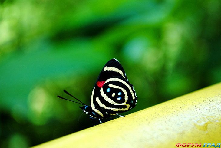 самостоятельные путешествия