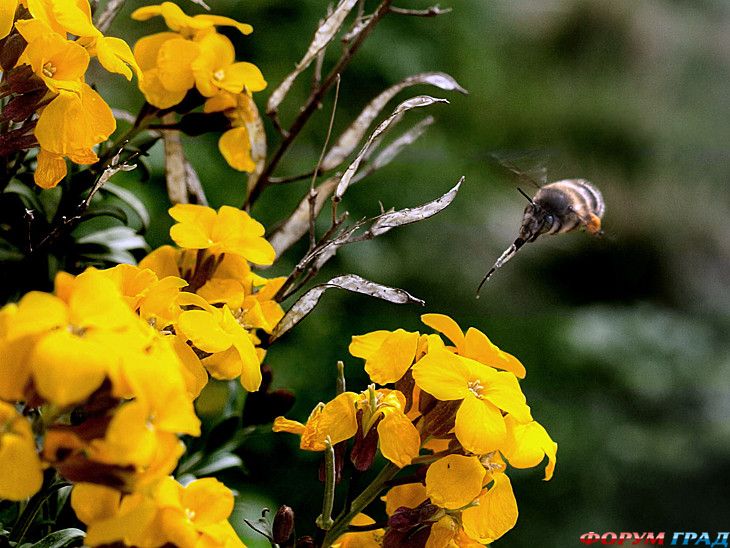 самостоятельные путешествия