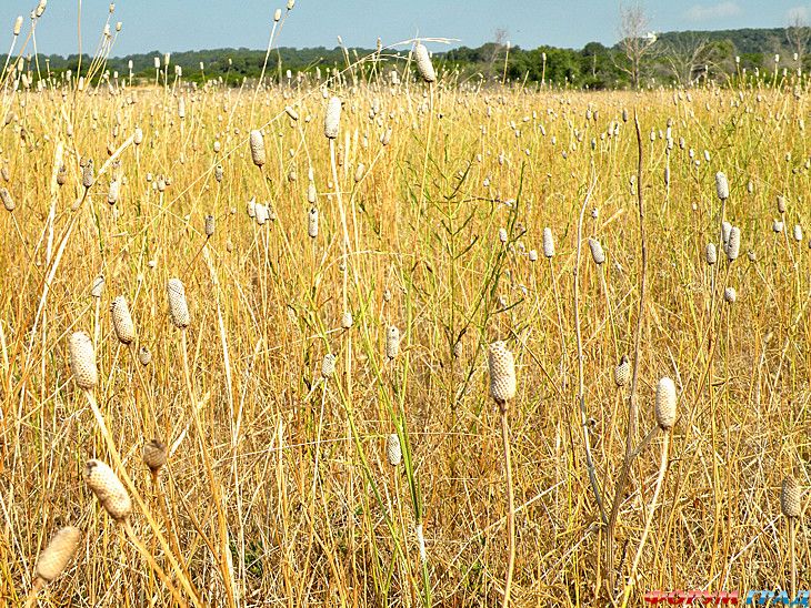 самостоятельные путешествия