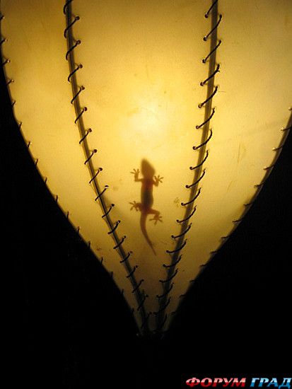 самостоятельные путешествия