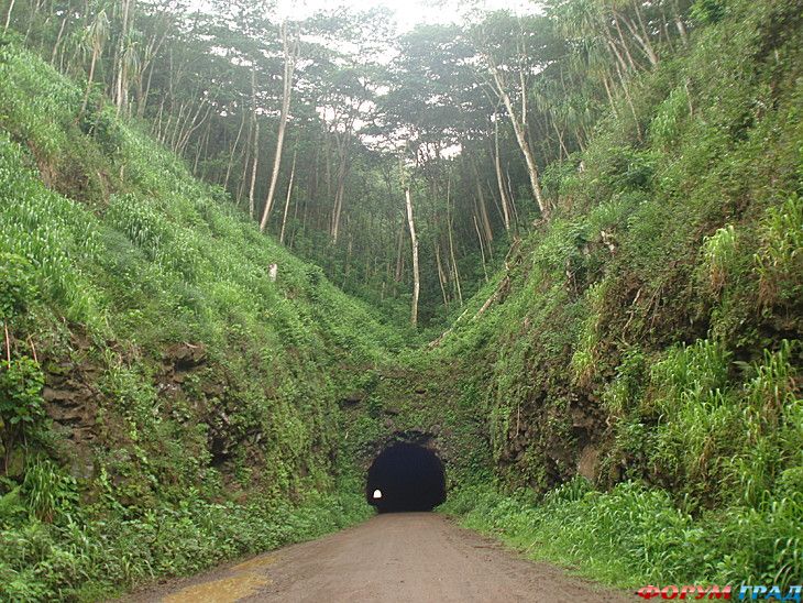 самостоятельные путешествия