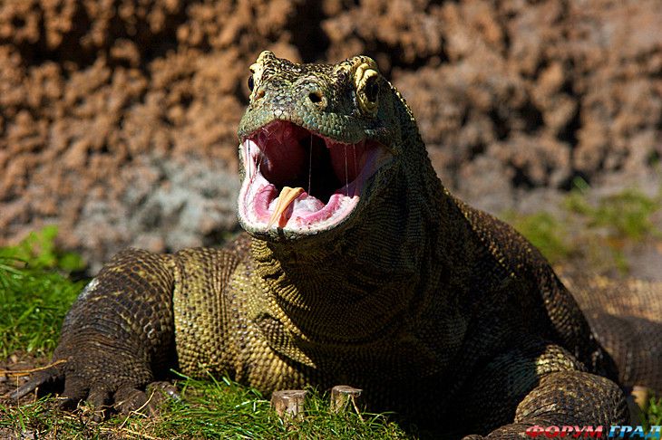 самостоятельные путешествия