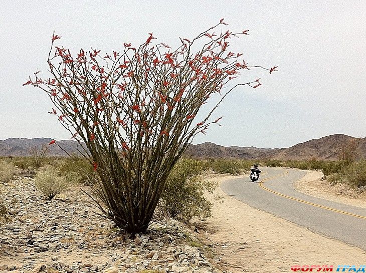 самостоятельные путешествия