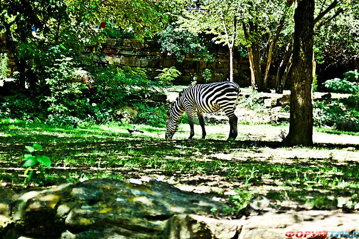 самостоятельные путешествия