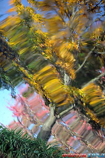 самостоятельные путешествия