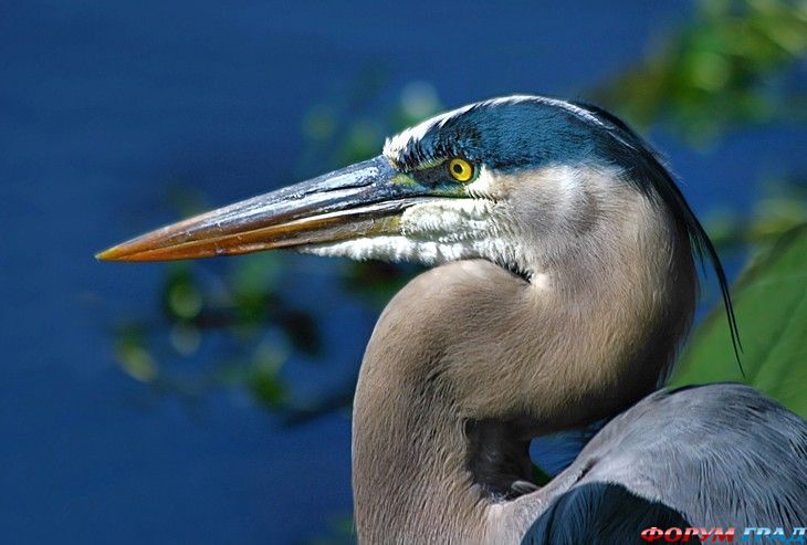 самостоятельные путешествия