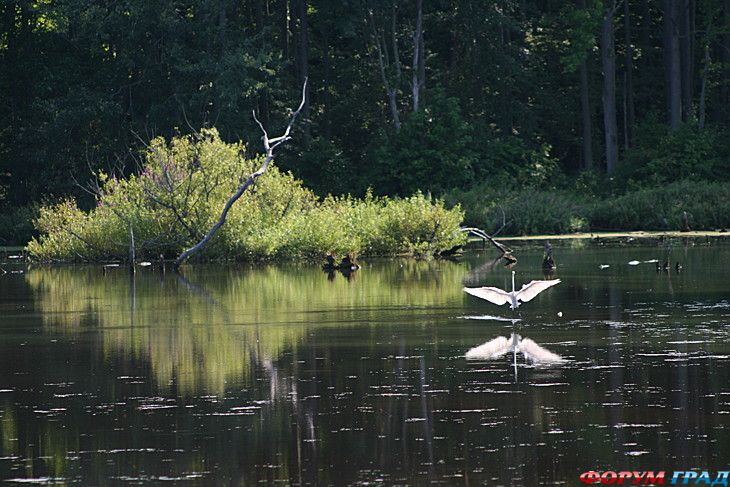самостоятельные путешествия